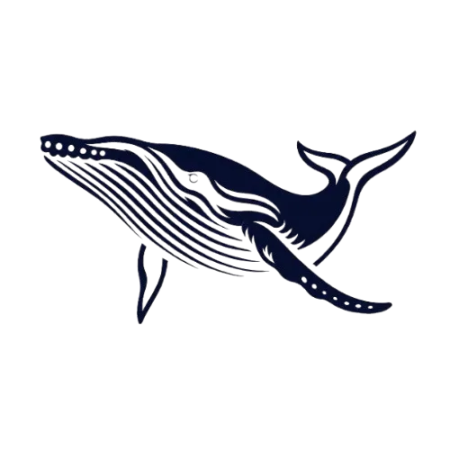 Whalecoo.com